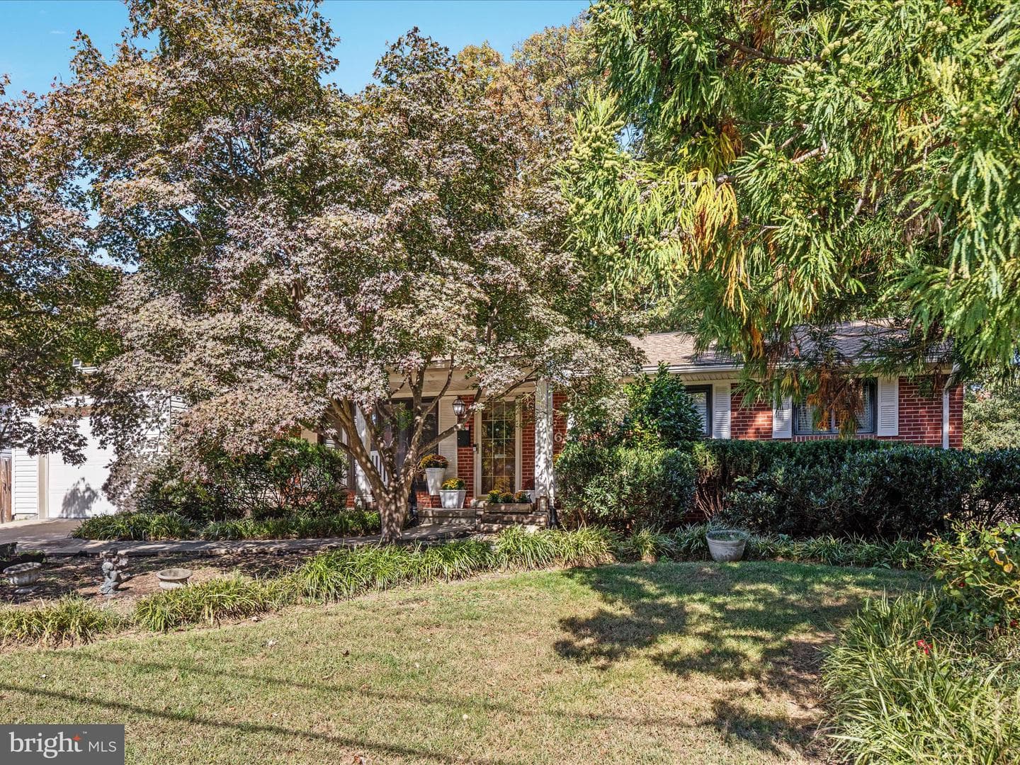 6806 Ruskin Street photo 52