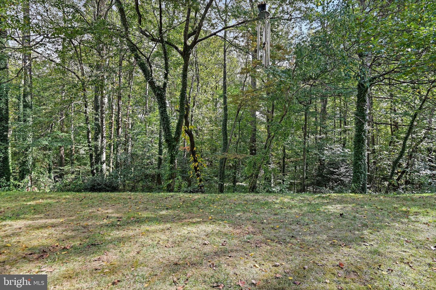 11619 Vantage Hill Road #1a photo 18