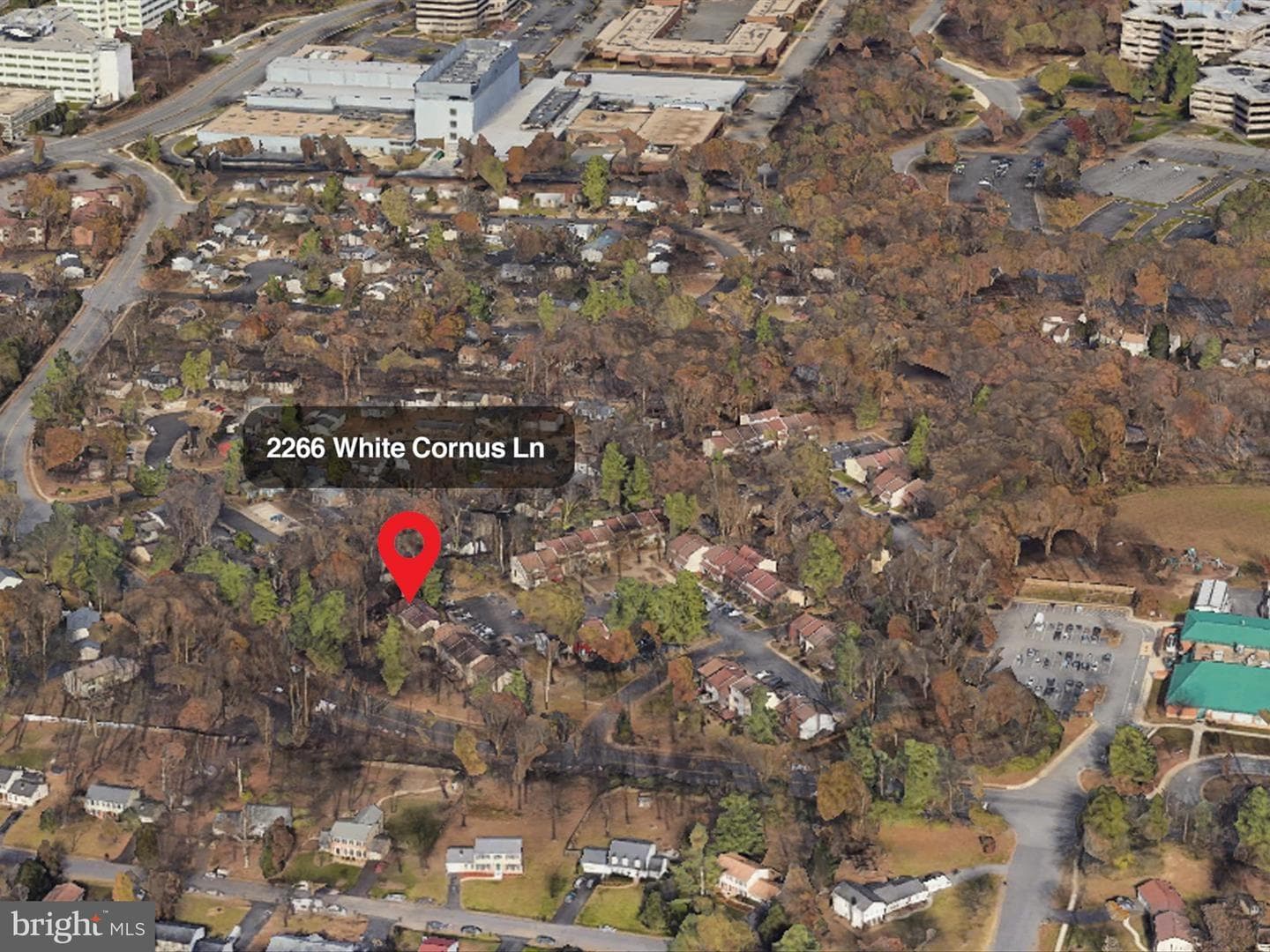 2266 White Cornus Lane photo 2