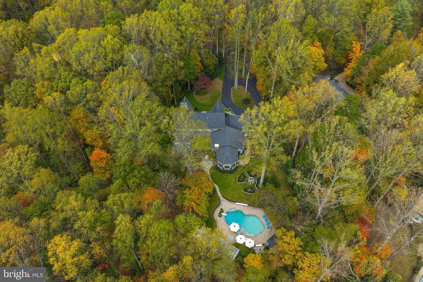 10205 Cedar Pond Drive photo 3