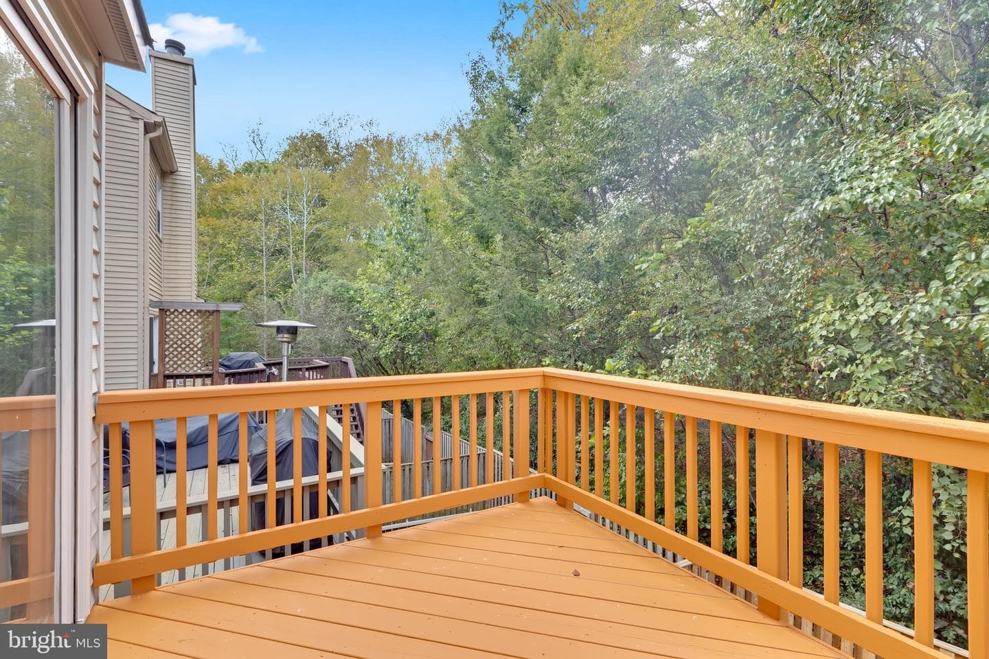 8110 Squirrel Run Road photo 19