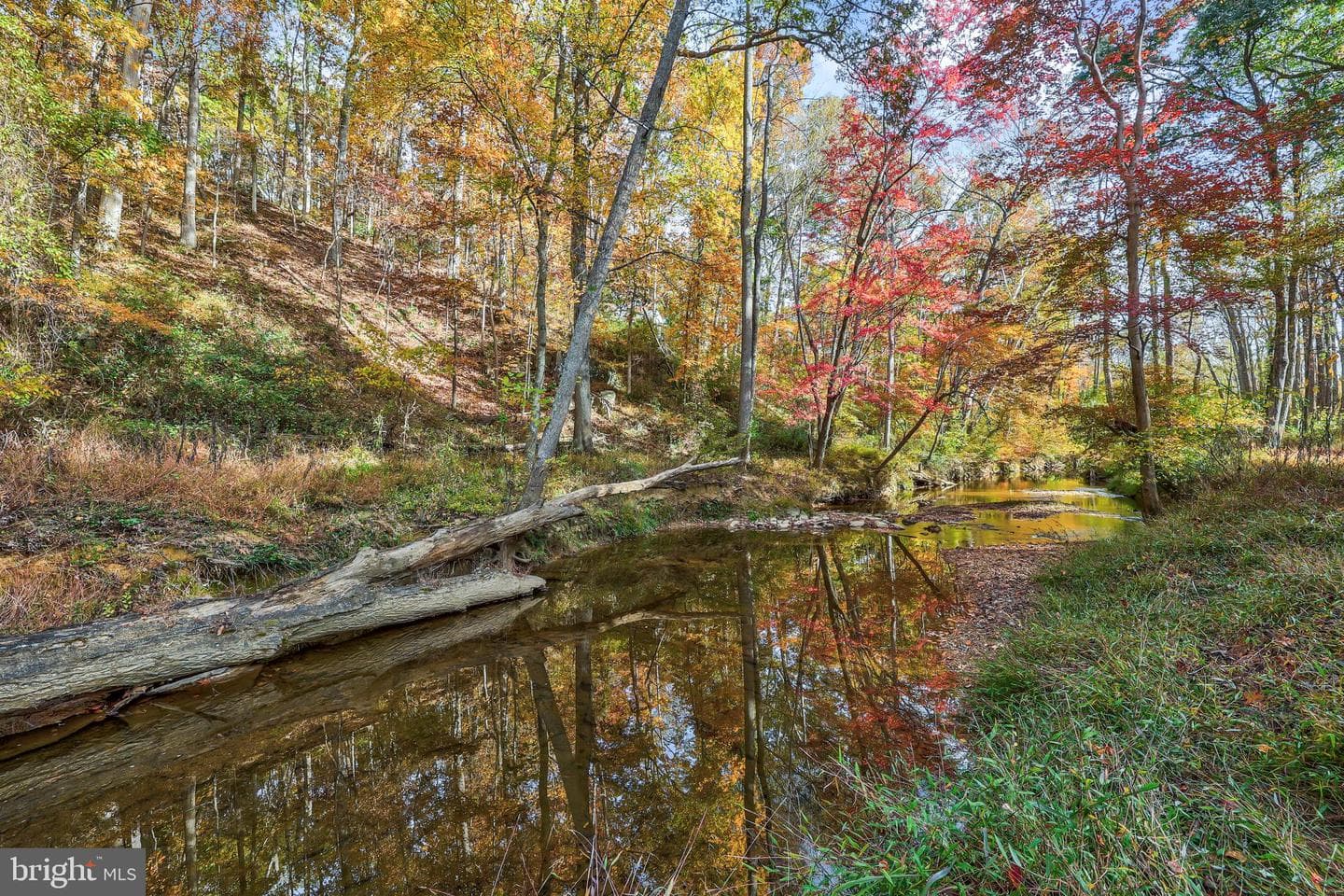 10450 Hunter View Road photo 59
