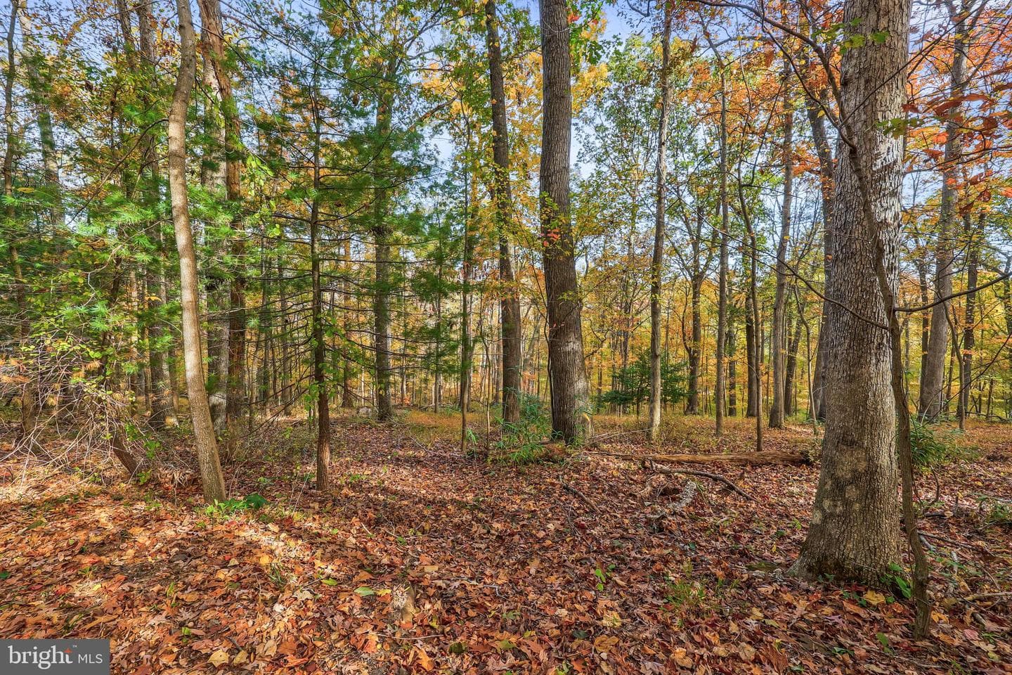 10450 Hunter View Road photo 62