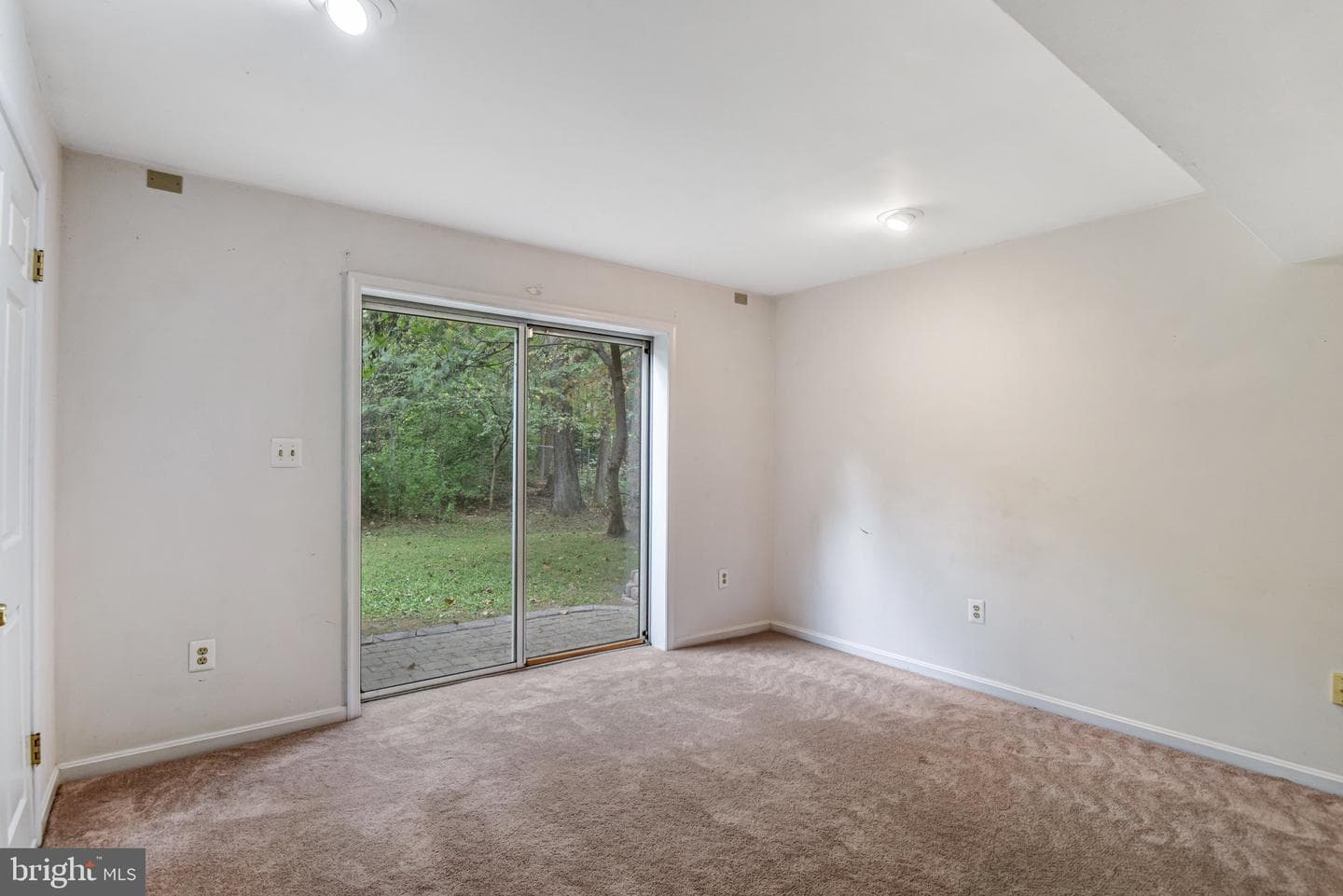 12210 Rowan Tree Drive photo 48