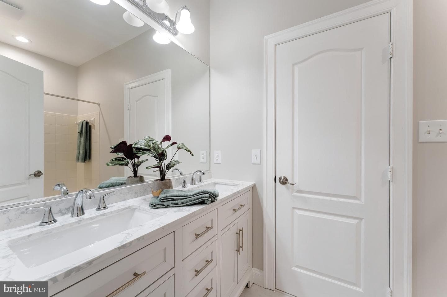 12197 Wild Horse Drive photo 47