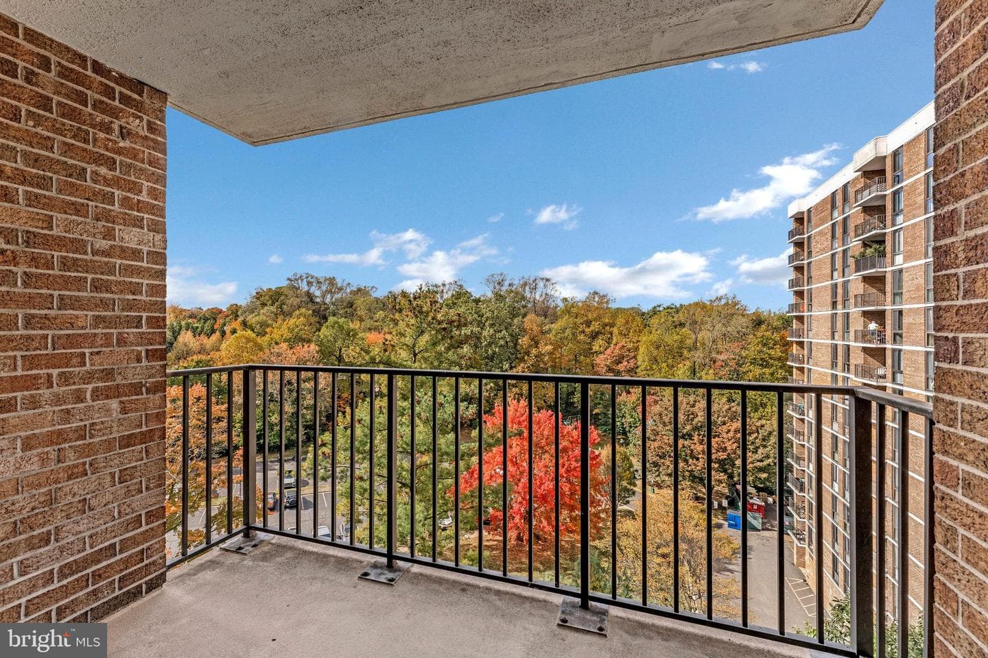 2300 Pimmit Drive #919 photo 22