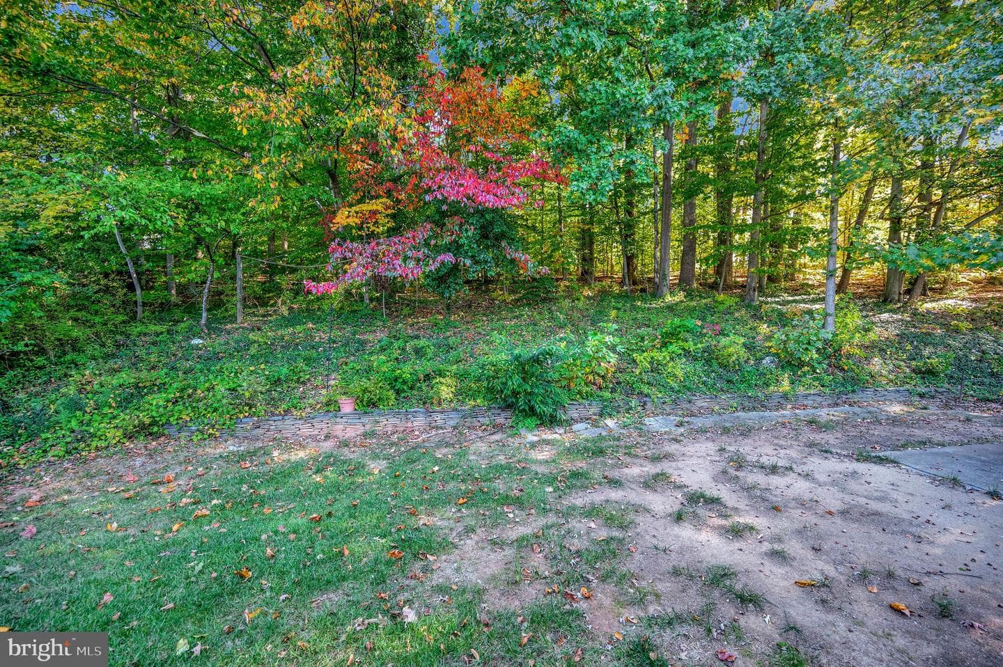 6507 Byron Avenue photo 47