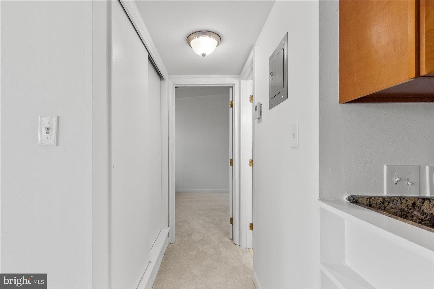 4317 Americana Drive #203 photo 16