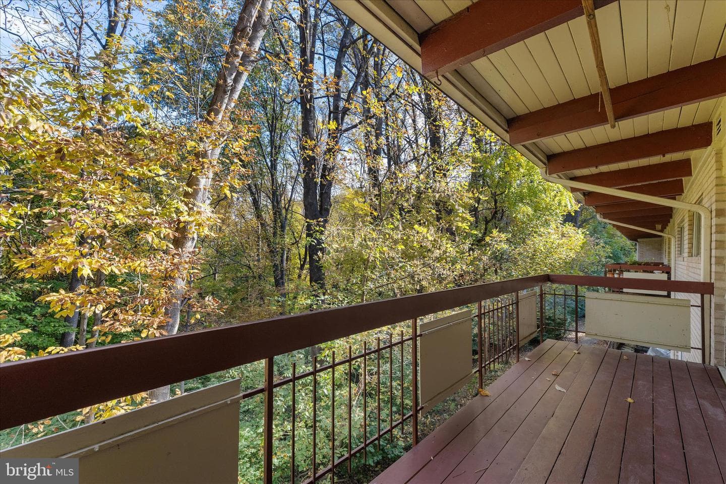 4317 Americana Drive #203 photo 8