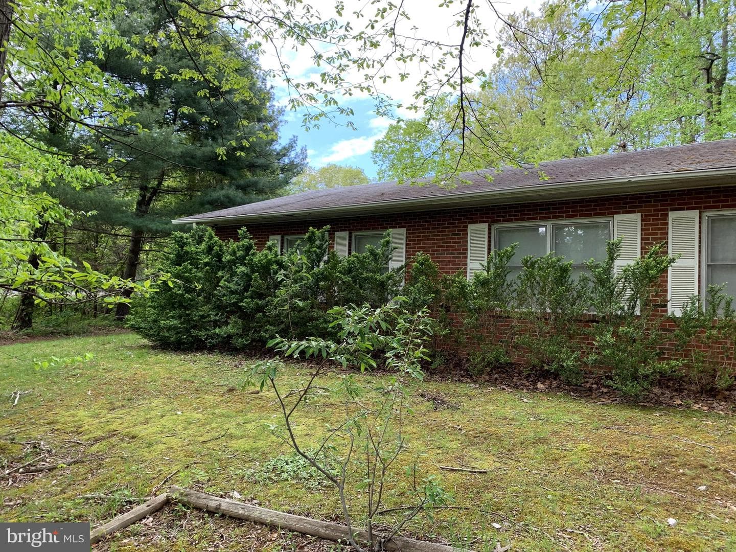4515 Shirley Gate Road photo 5