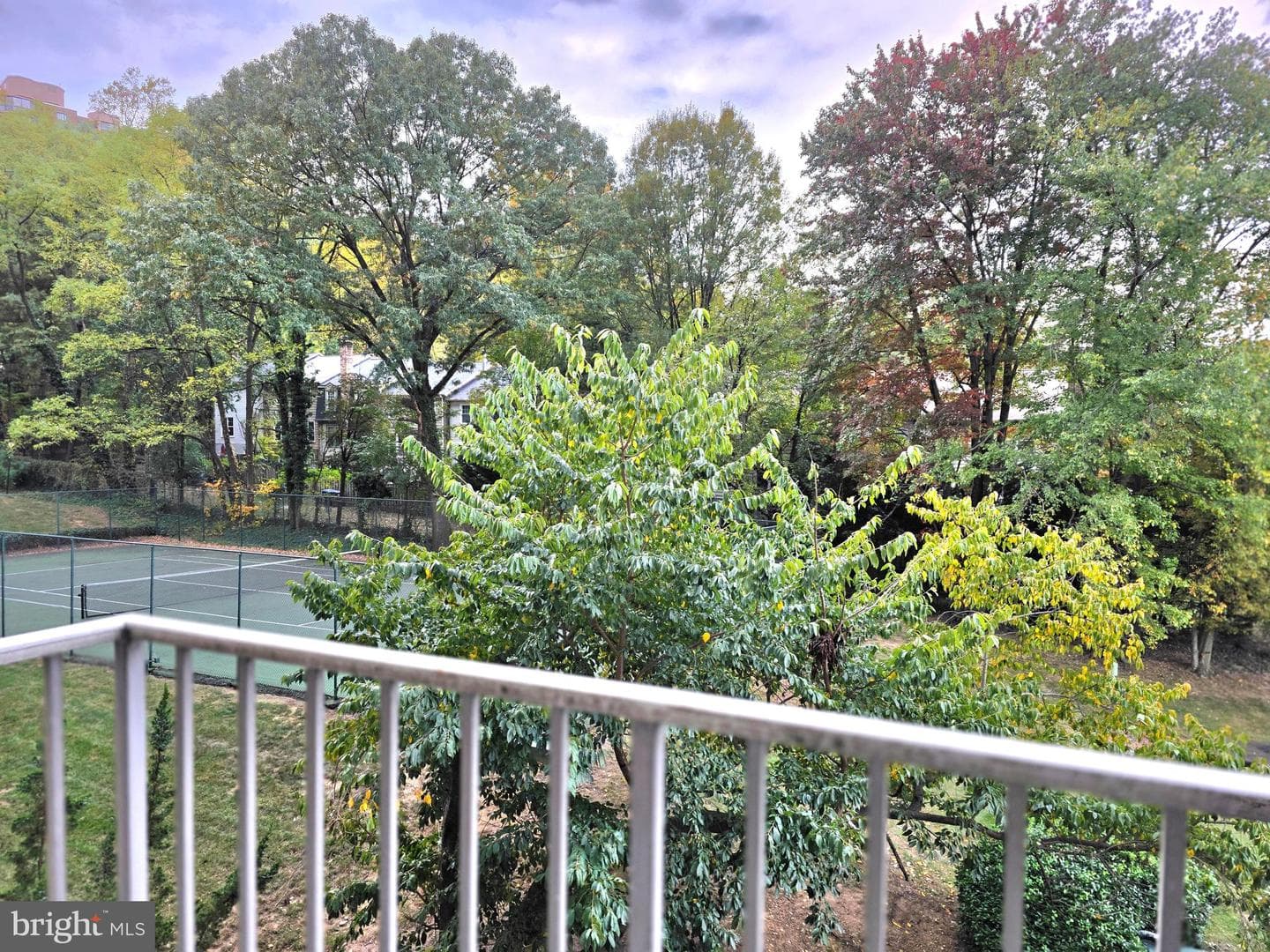 2059 Huntington Avenue #312 photo 3