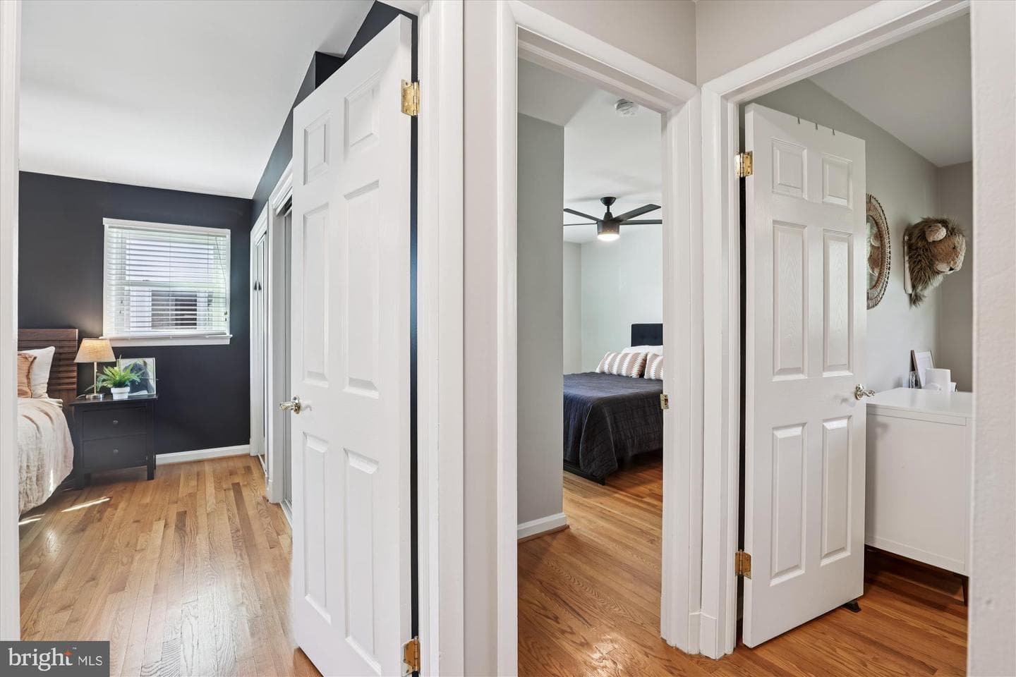 6418 Princeton Drive photo 35