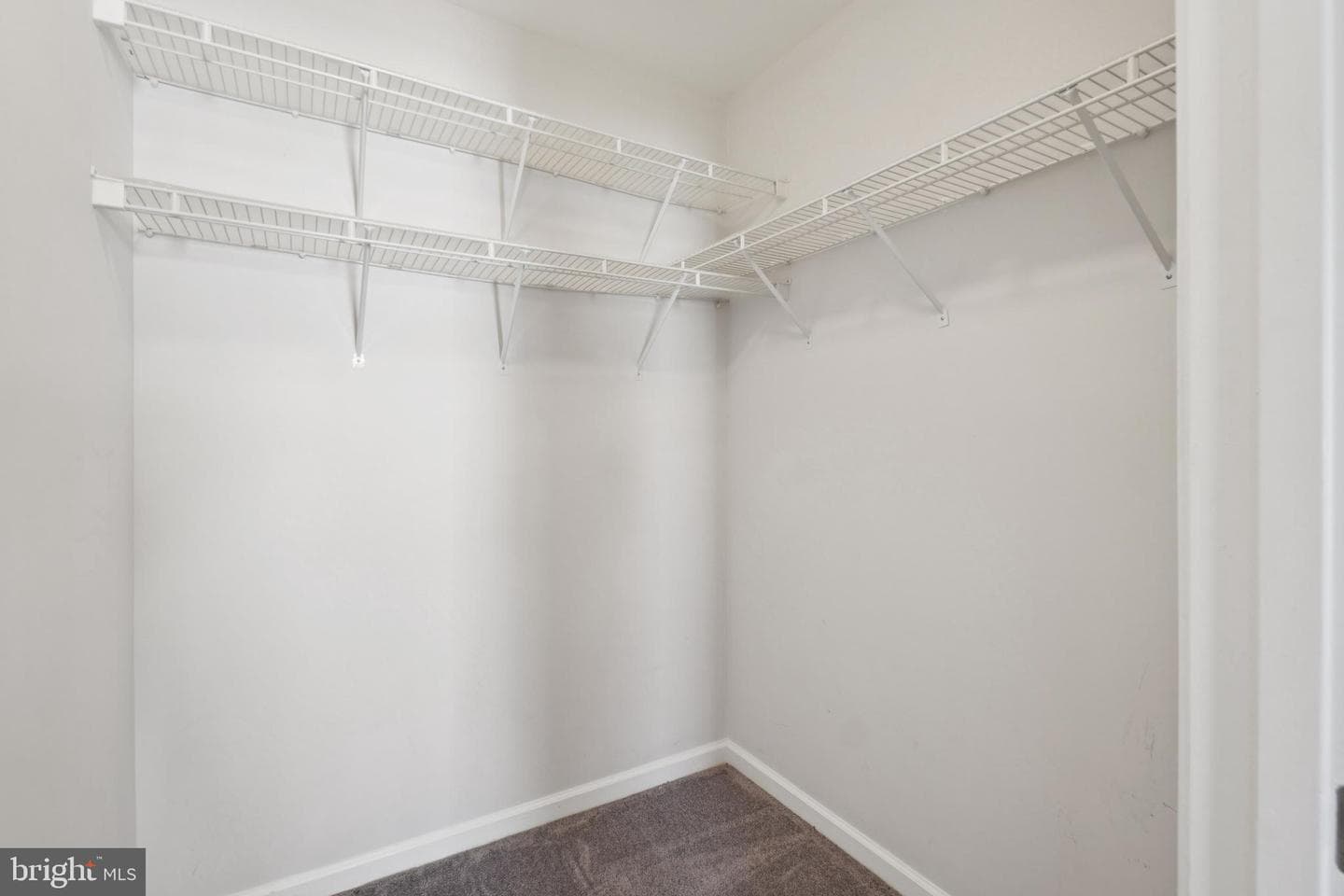 7515 Snowpea Court #167-L photo 19