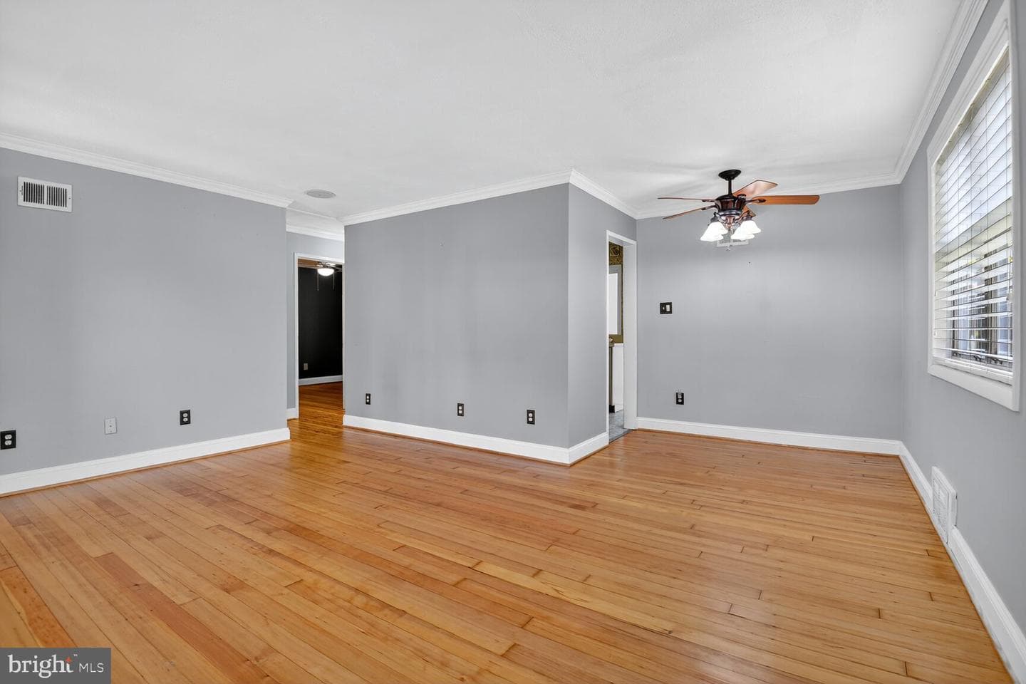 3203 Elmwood Drive photo 5