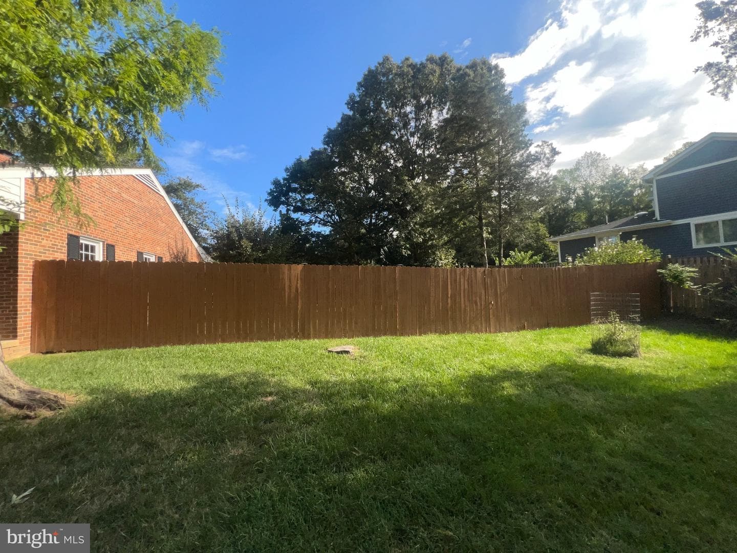 10923 Belmont Boulevard photo 20