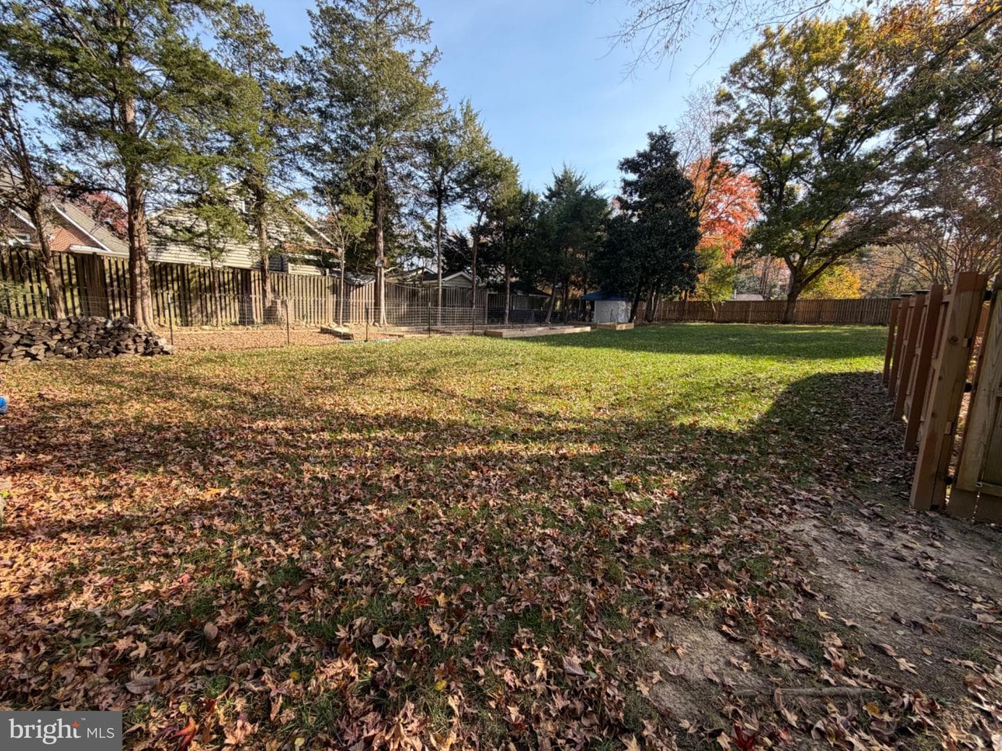 10923 Belmont Boulevard photo 25