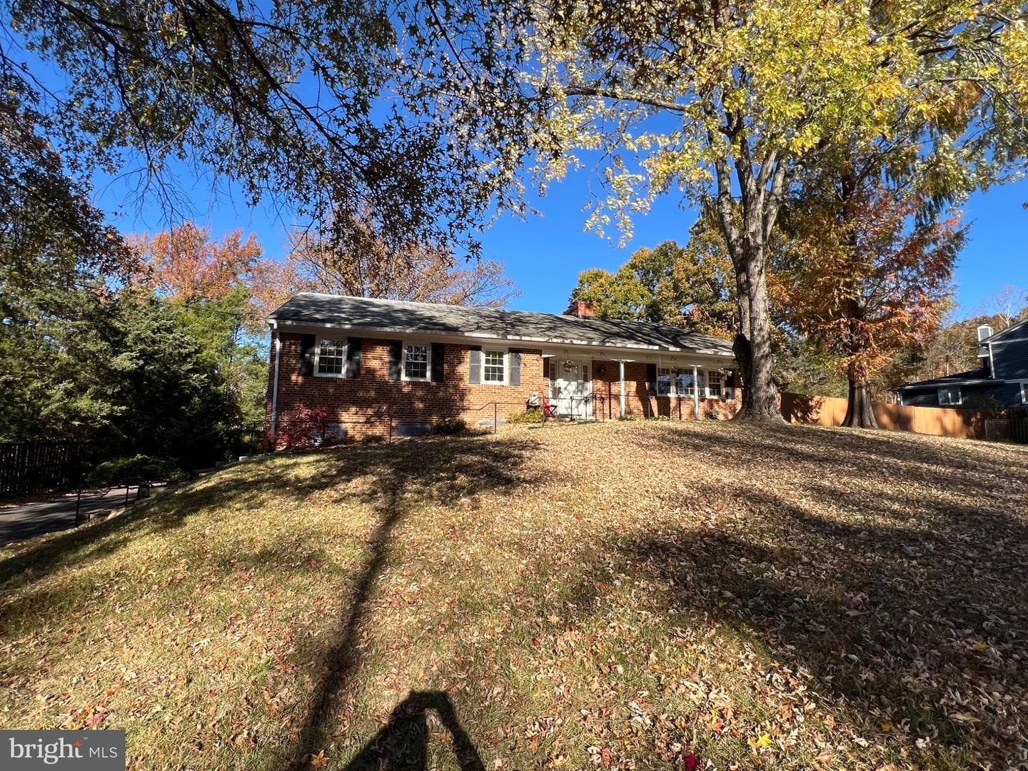 10923 Belmont Boulevard photo 37