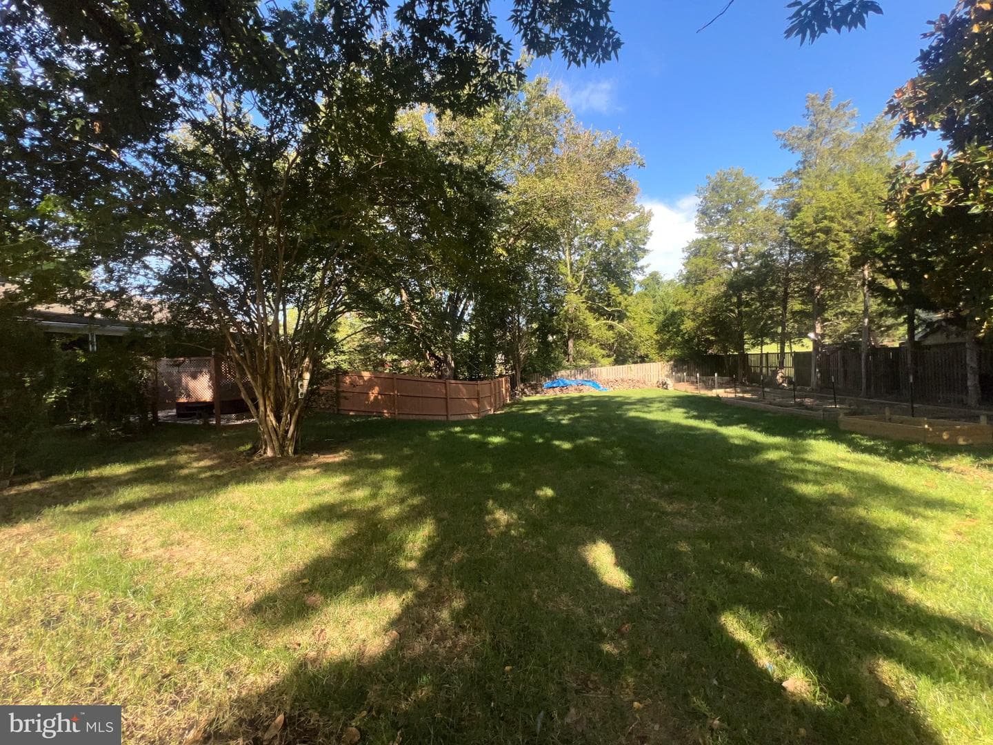 10923 Belmont Boulevard photo 4