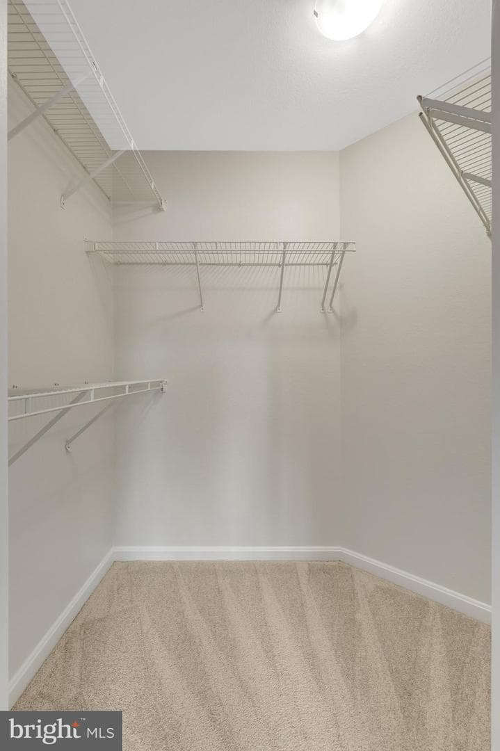 12845 Fair Briar Lane photo 25