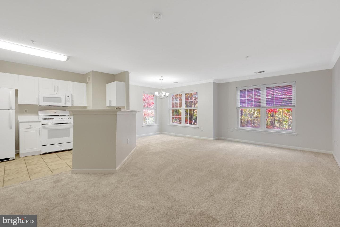 12737 Fair Briar Lane photo 6