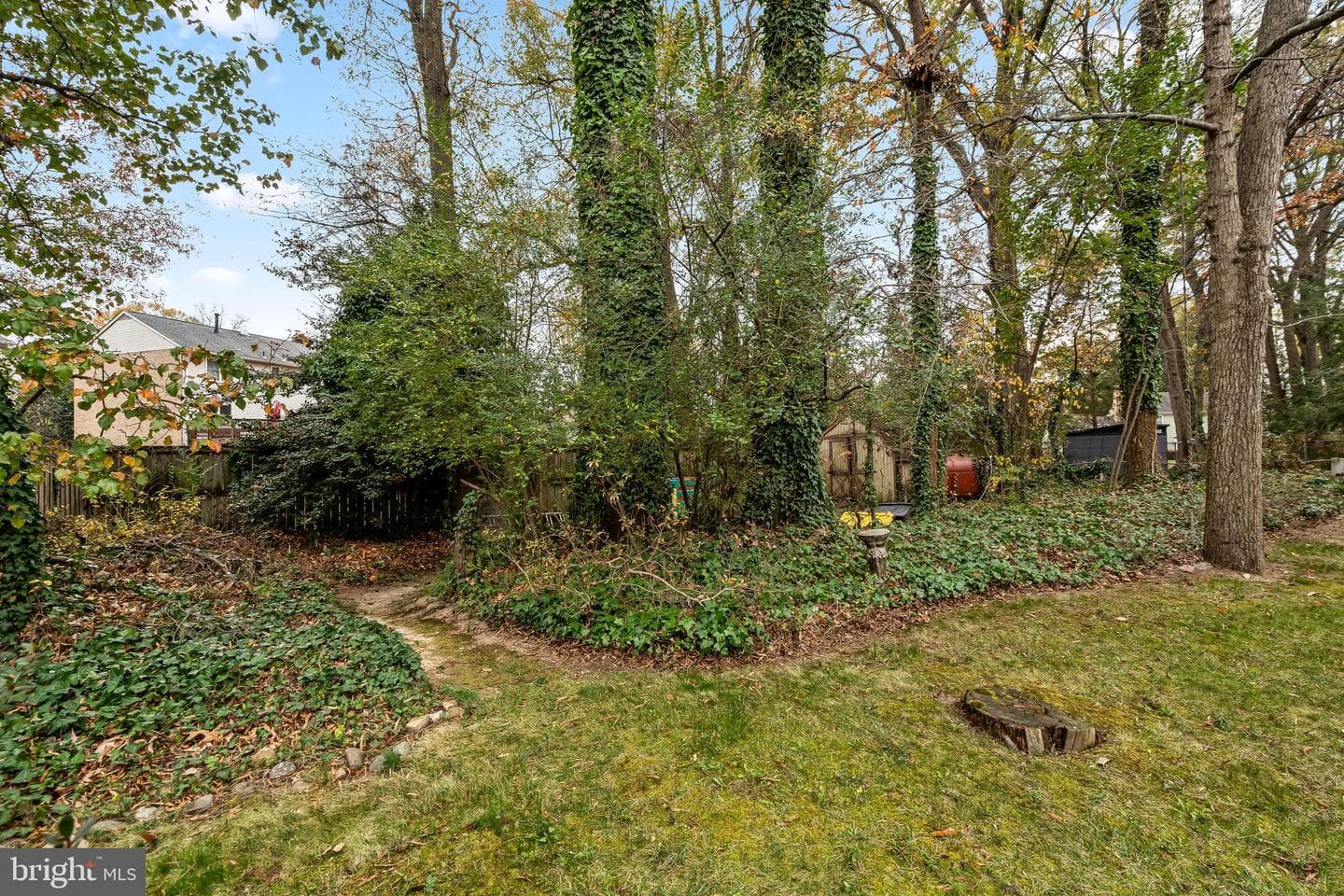 8601 Buckboard Drive photo 51