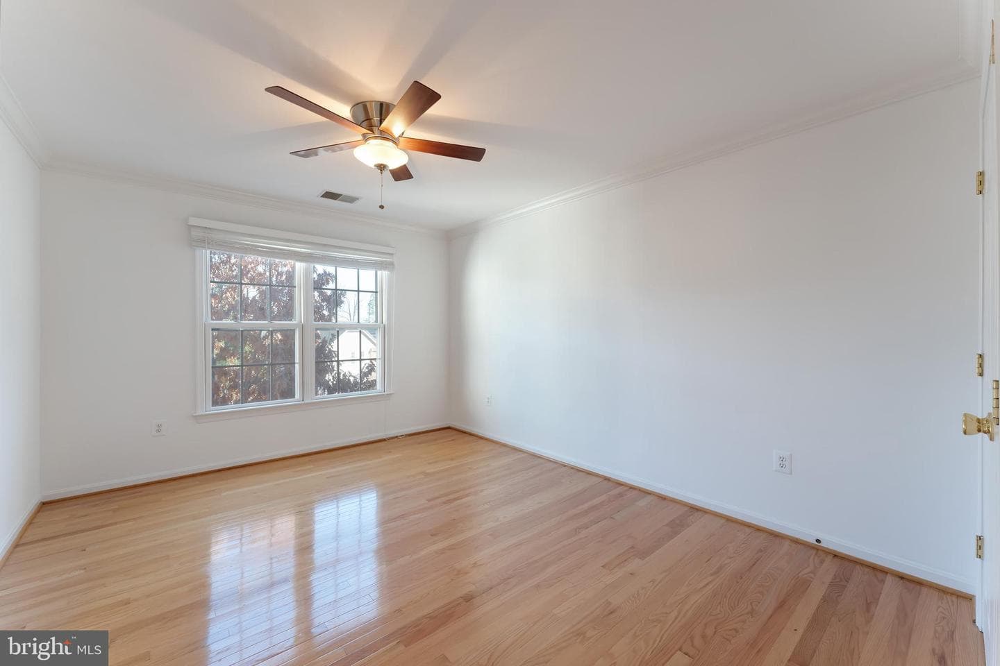 7204 Lyndam Hill Circle photo 39