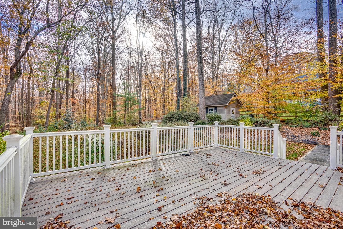 10993 Highridge Street photo 38