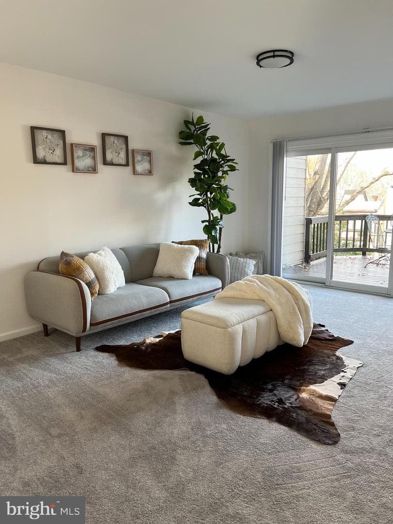 1546 Scandia Circle photo 4