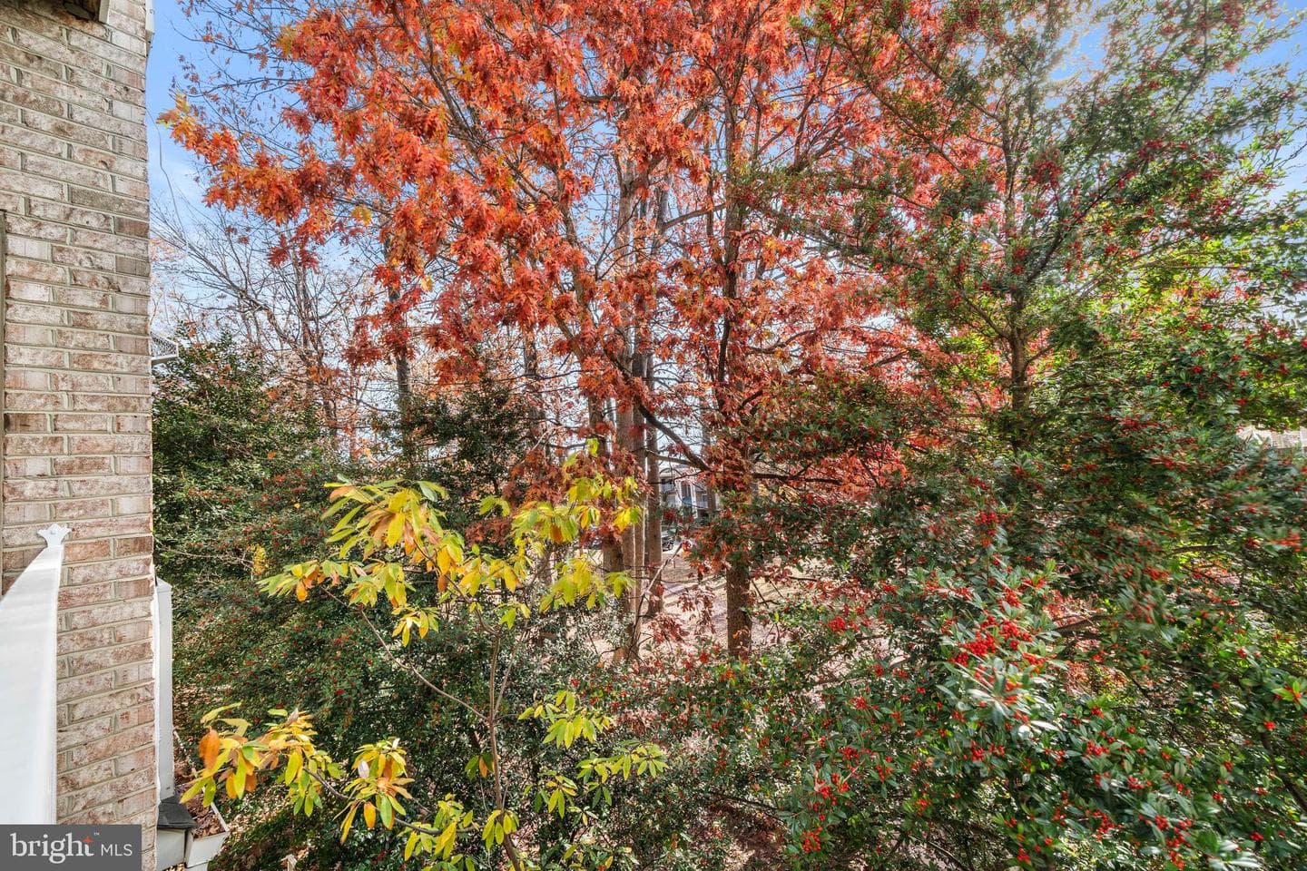 2665 Manhattan Place #109 photo 36