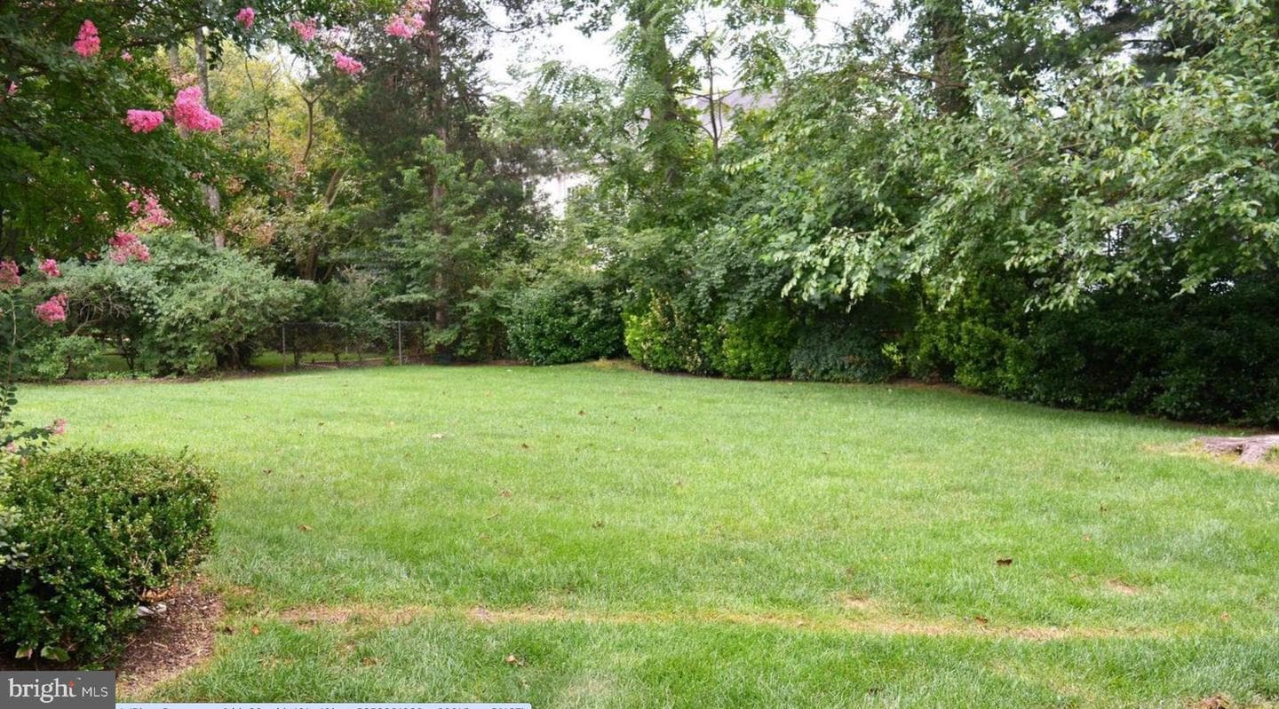 6613 Chesterfield Avenue photo 2