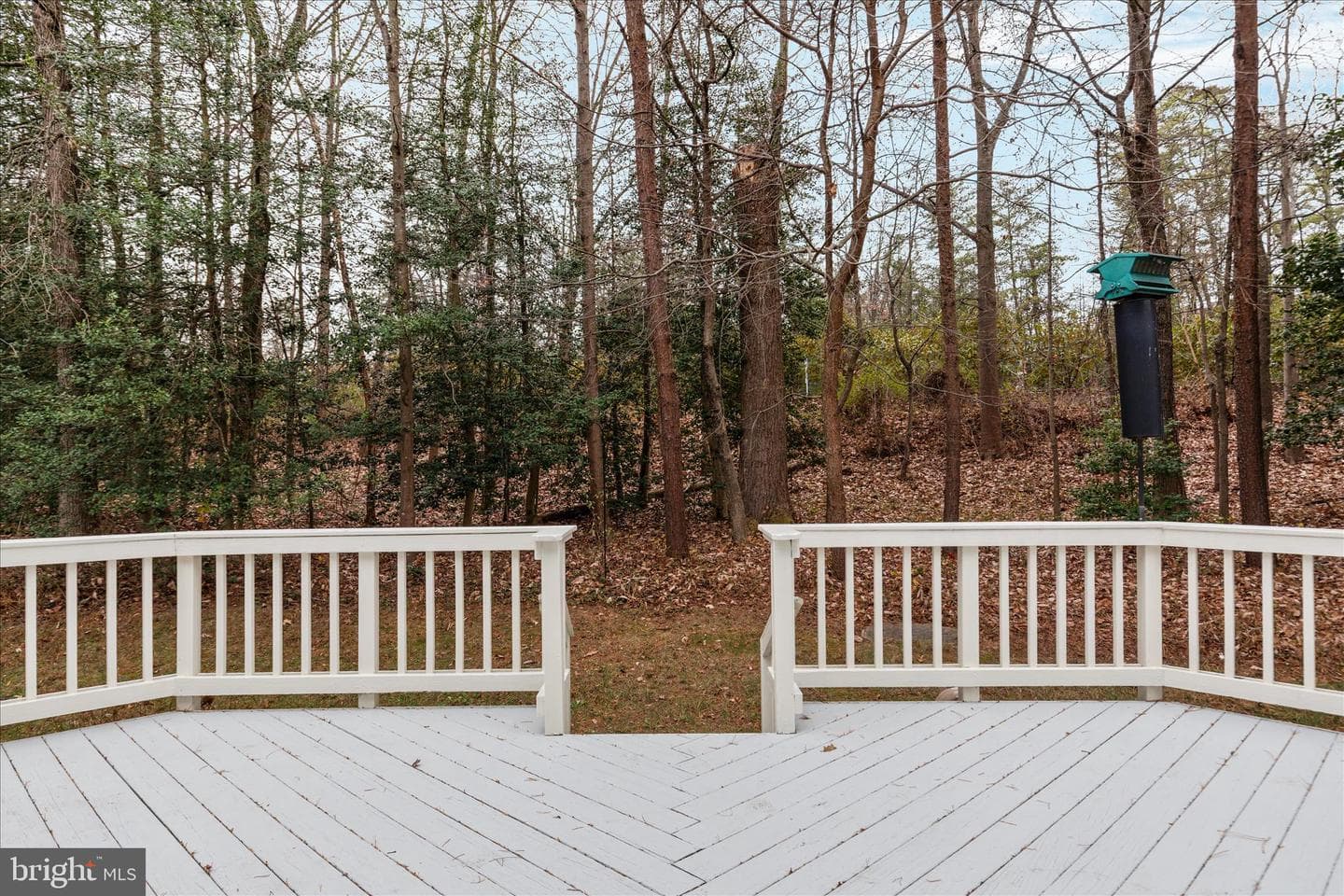 1290 Wedgewood Manor Way photo 31