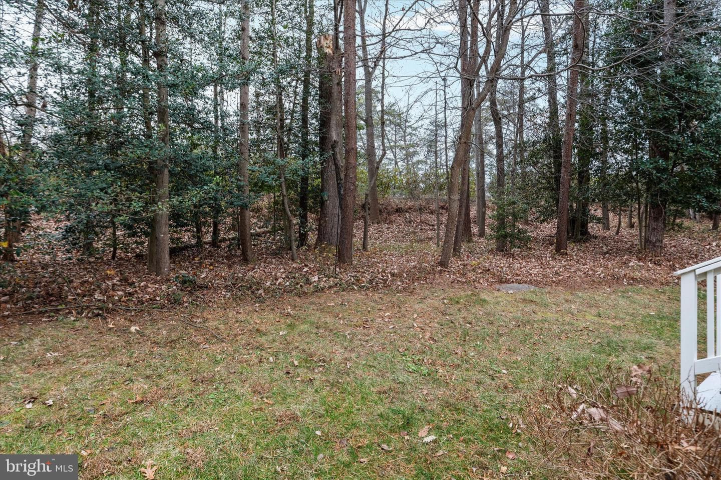 1290 Wedgewood Manor Way photo 34
