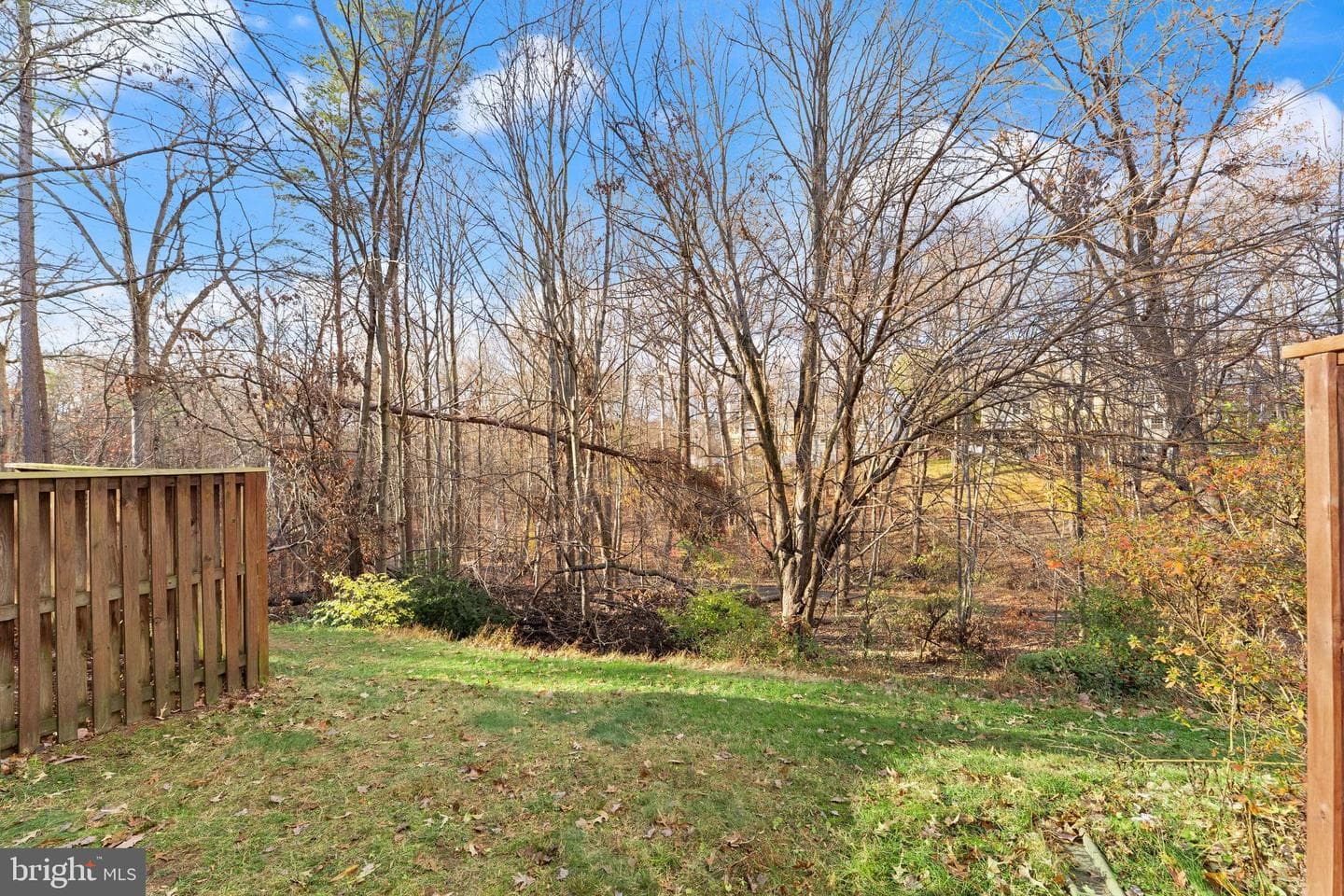 1616 Barnstead Drive photo 46