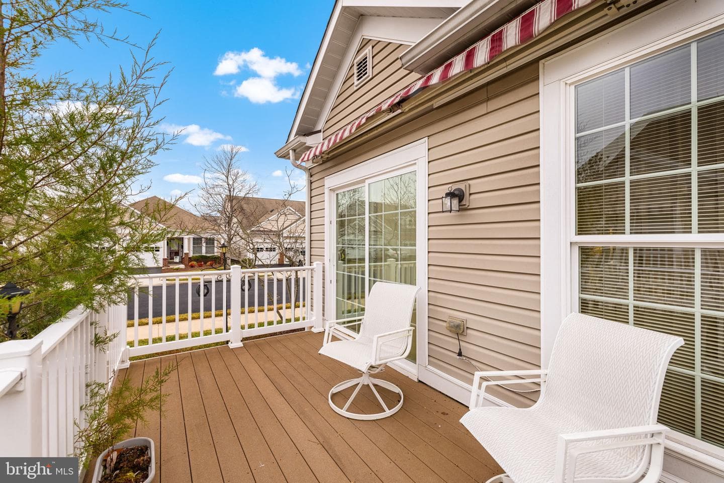 8410 Stargazer Lily Court photo 38
