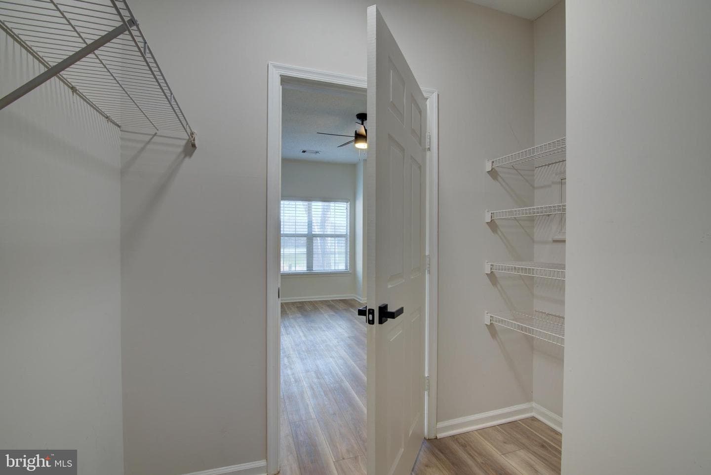 1708 Lake Shore Crest Drive photo 12