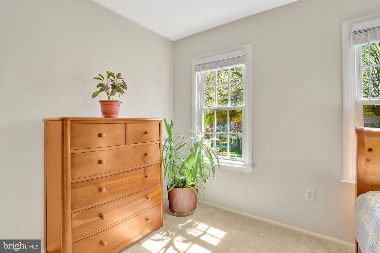 9516 Vandola Court photo 25