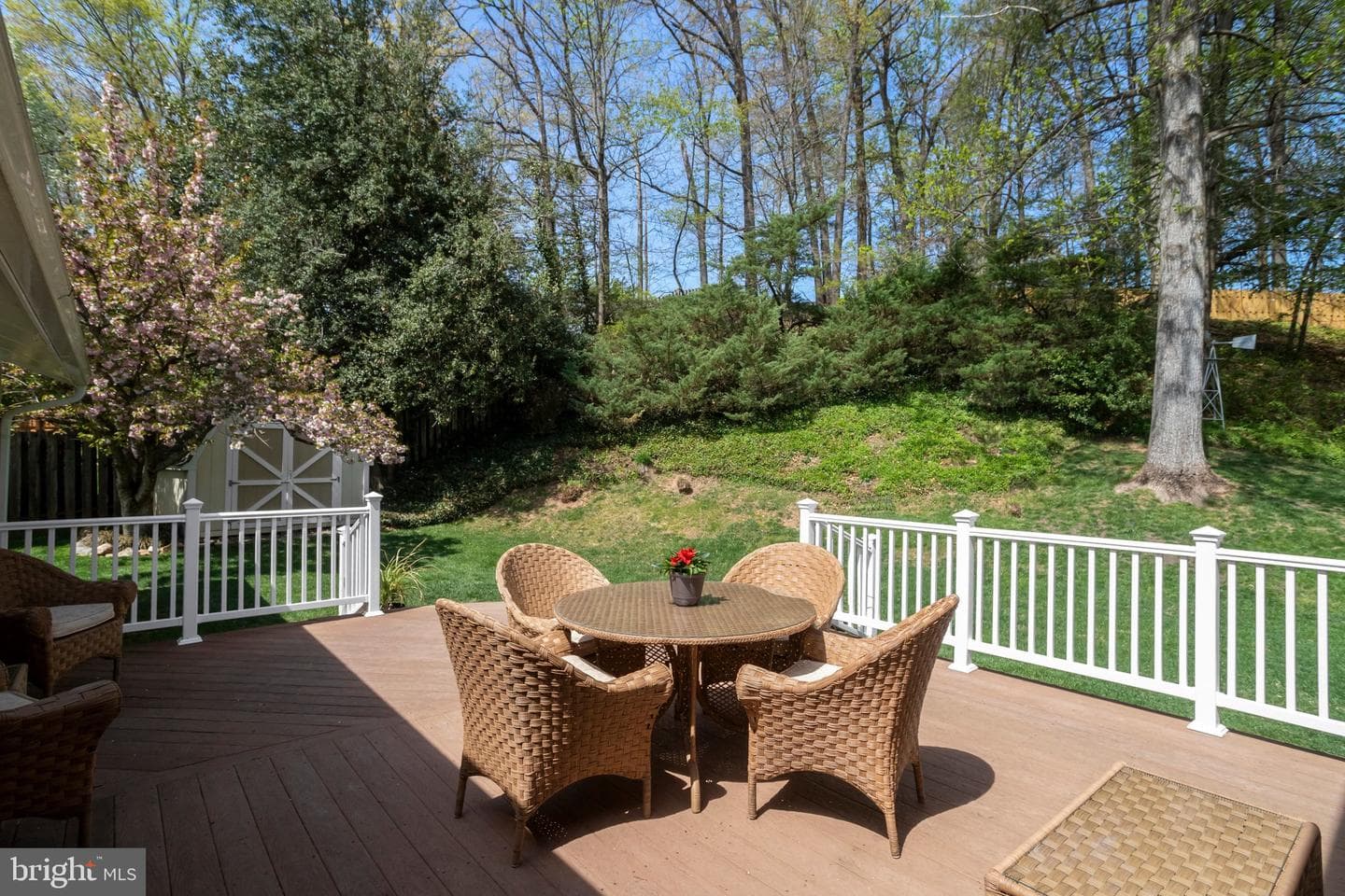 9516 Vandola Court photo 48
