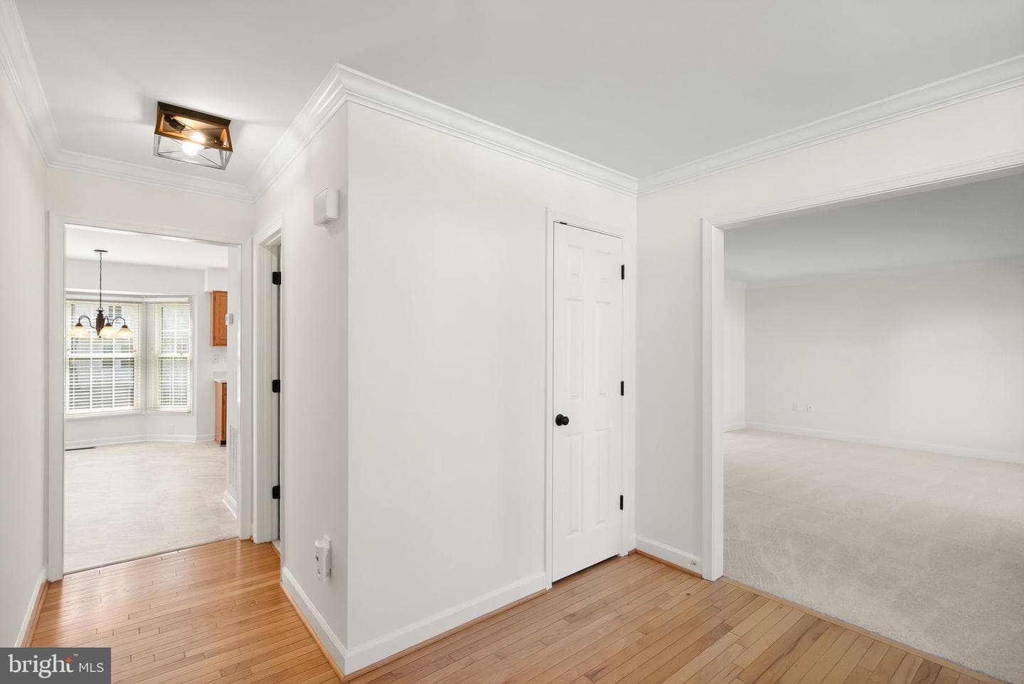 14379 Round Lick Lane photo 8