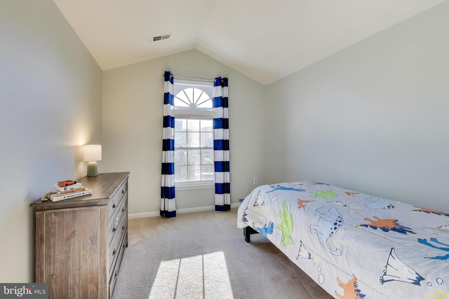 13252 Stone Heather Drive photo 34