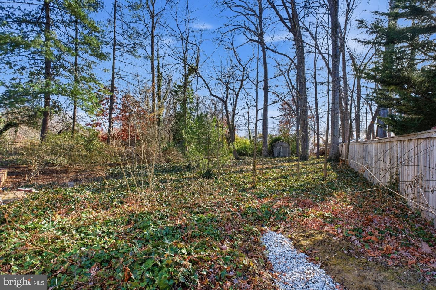 1151 Westmoreland Road photo 9