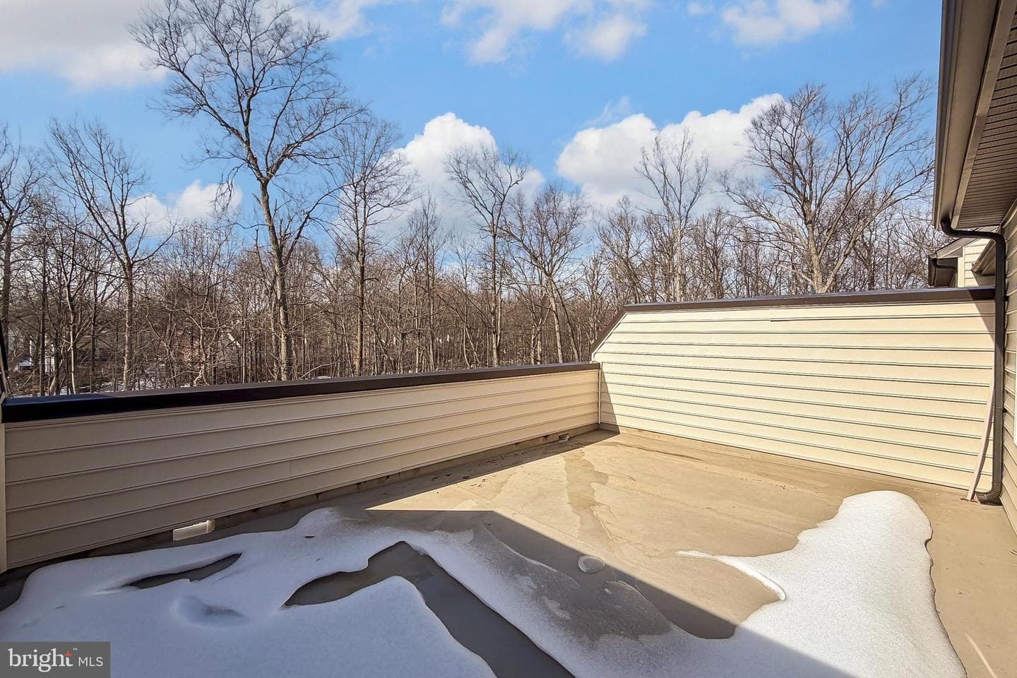 3847 Rainier Drive photo 56