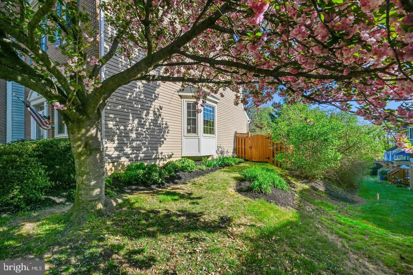 3643 Ransom Place photo 6