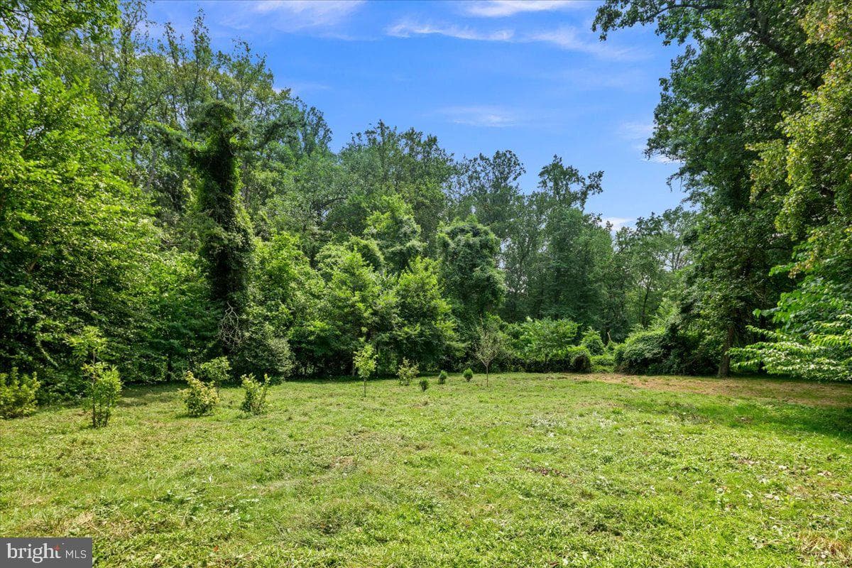 7011 Elizabeth Drive photo 33
