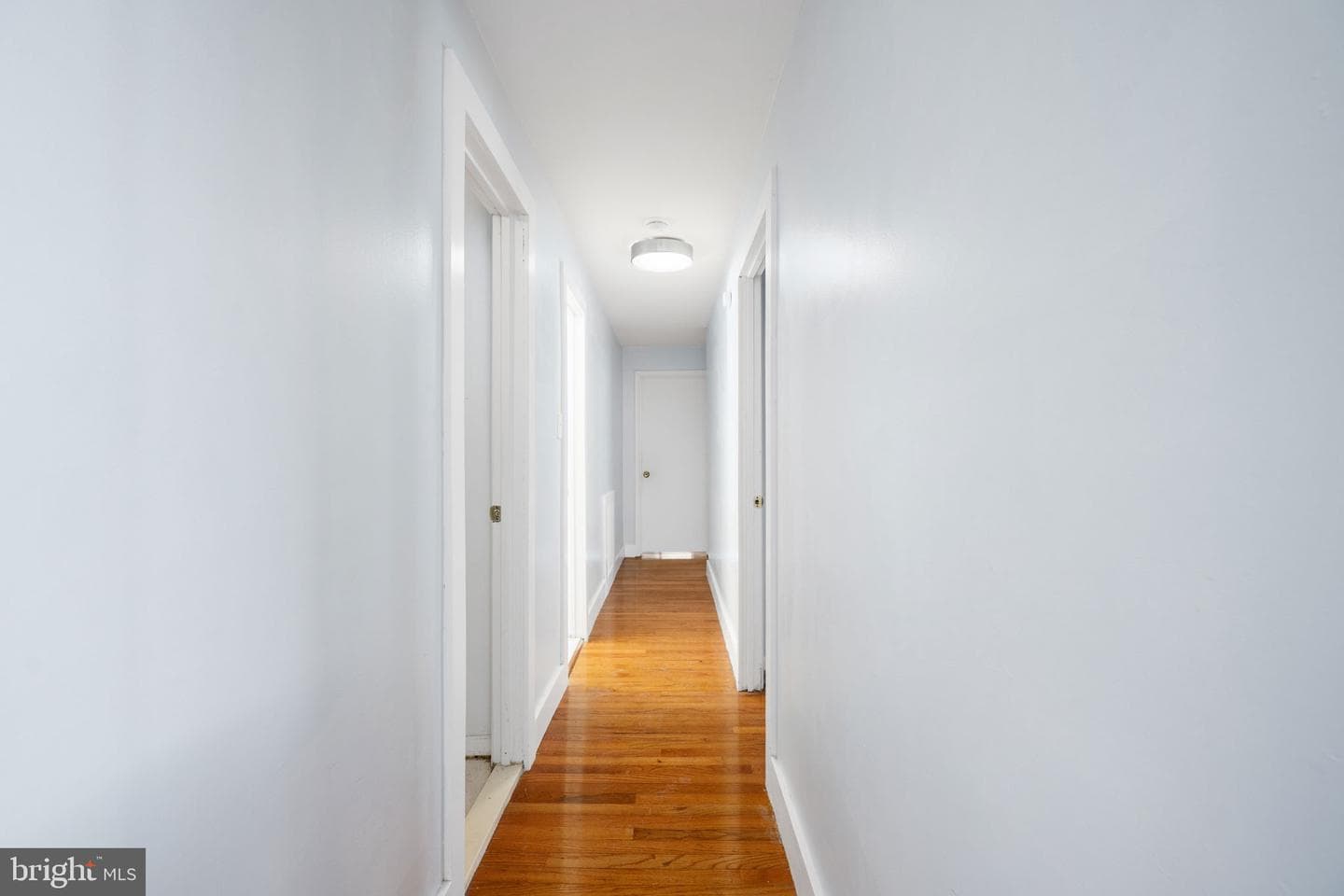 2844 Dover Lane #302 photo 38