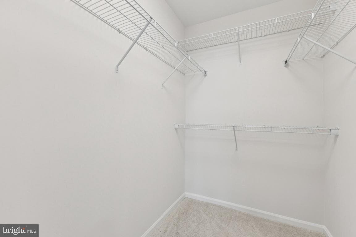 12920 New Parkland Drive photo 20