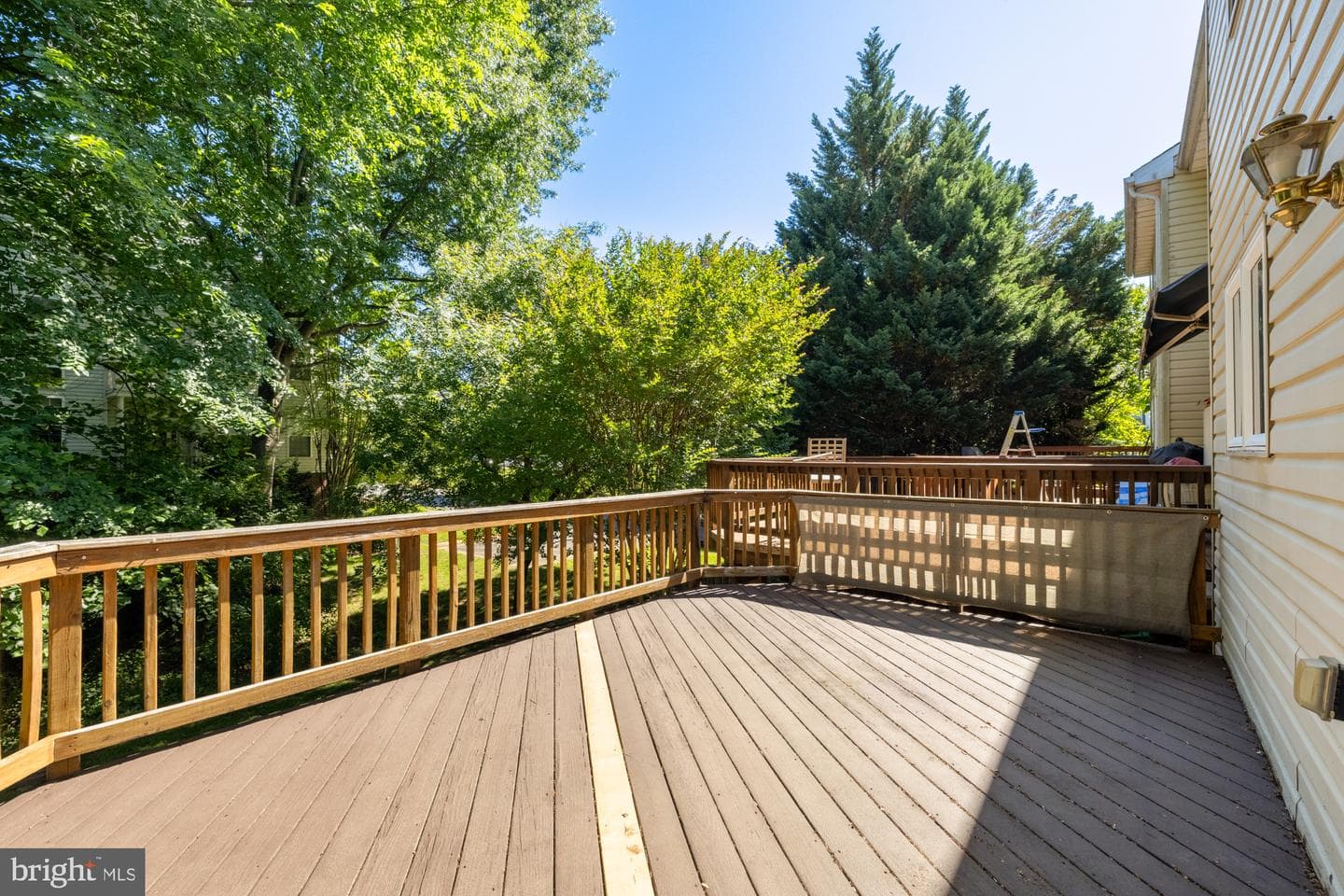 8906 Royal Astor Way photo 31
