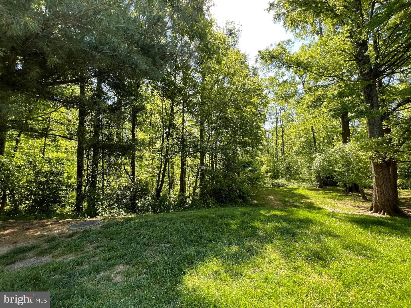 8616 Shadwell Court #62, Alexandria