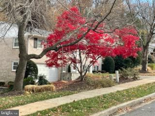 6125 Beech Tree Drive photo 39