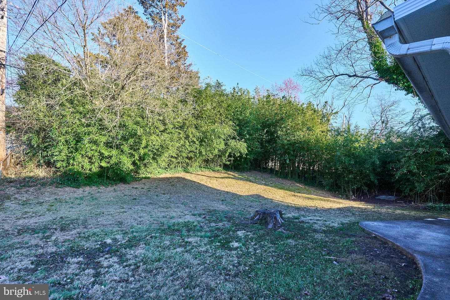 6621 Cornell Drive photo 37