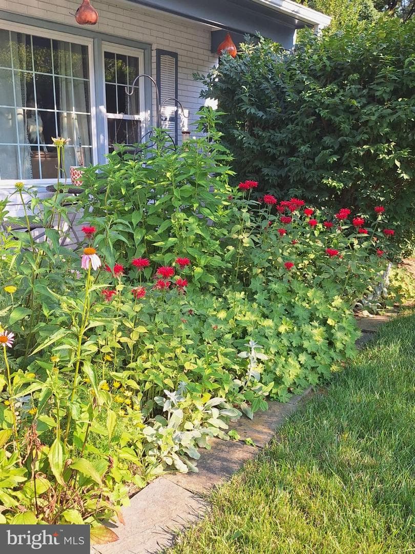 8109 Overton photo 31